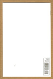 Ultimate Spider-Man #160 Blank Cover NM+