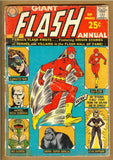 Flash Annual #1 FR