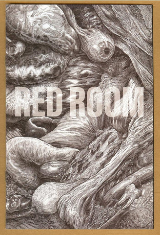 Red Room #2 1:5 Variant NM/NM+
